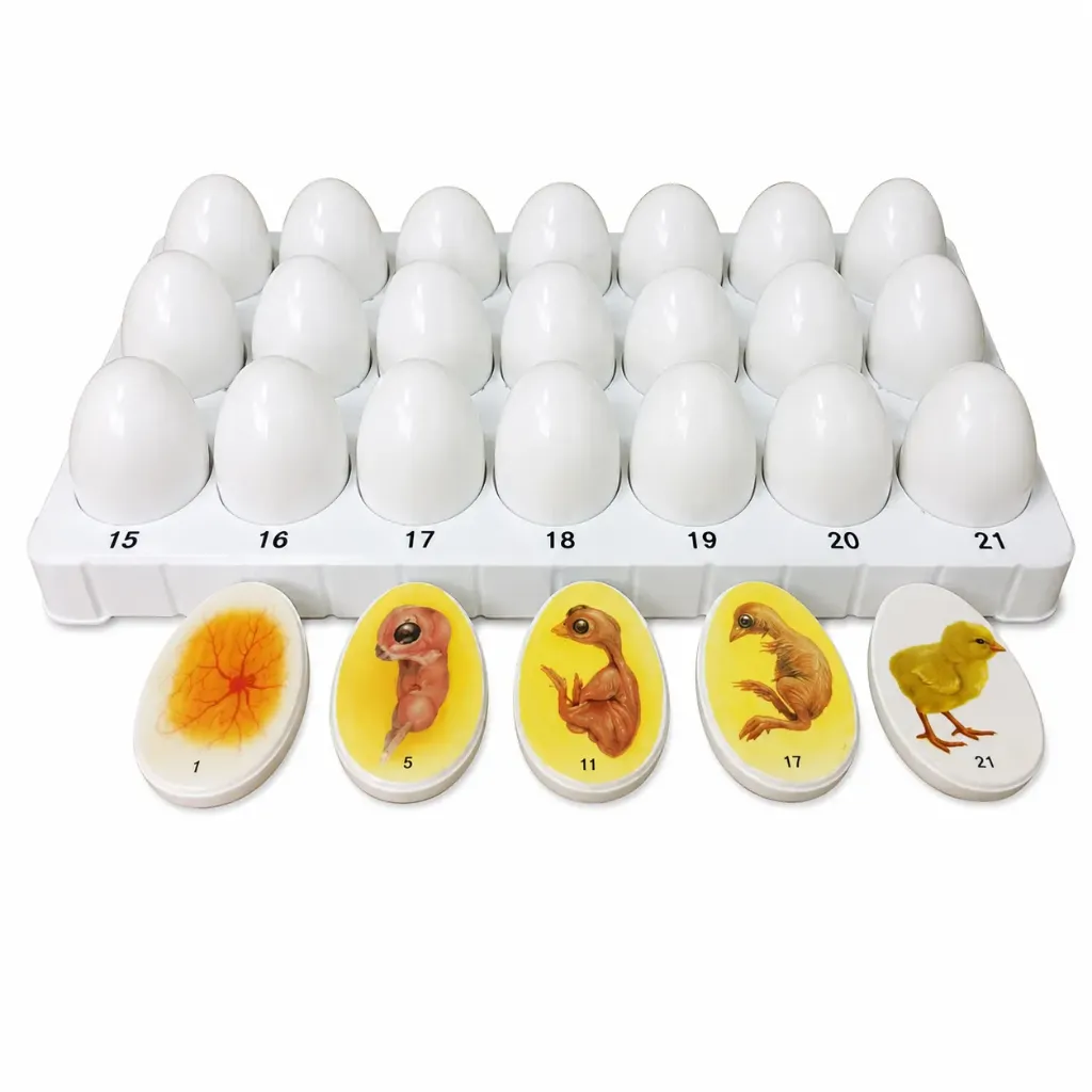 2758