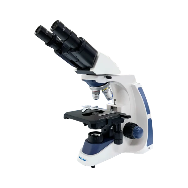 Microscopio binocular básico VE-B1