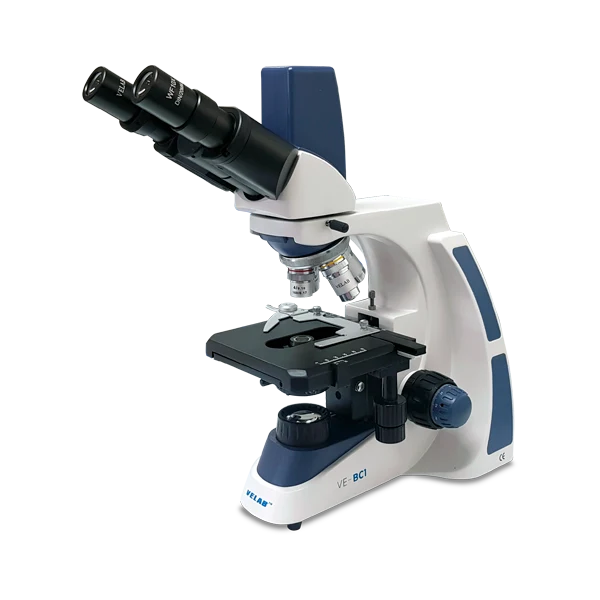 VE-BC1