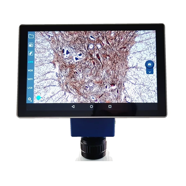 VE-SCOPEPAD-300